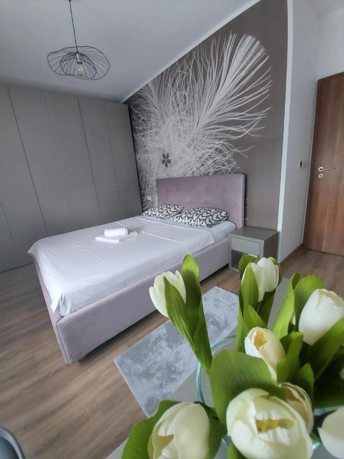 Paula Apartment Dumbravita  Экстерьер фото